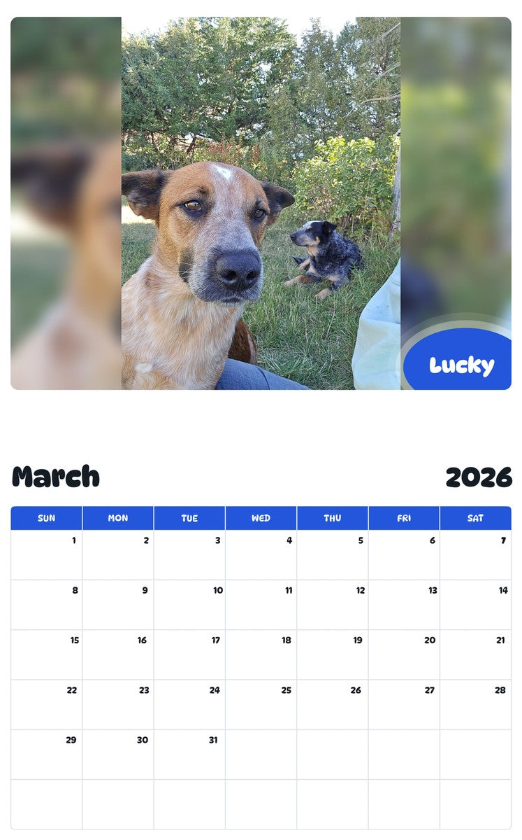 November 2025 - October 2026 Lucky - Pawidols Pet Calendar