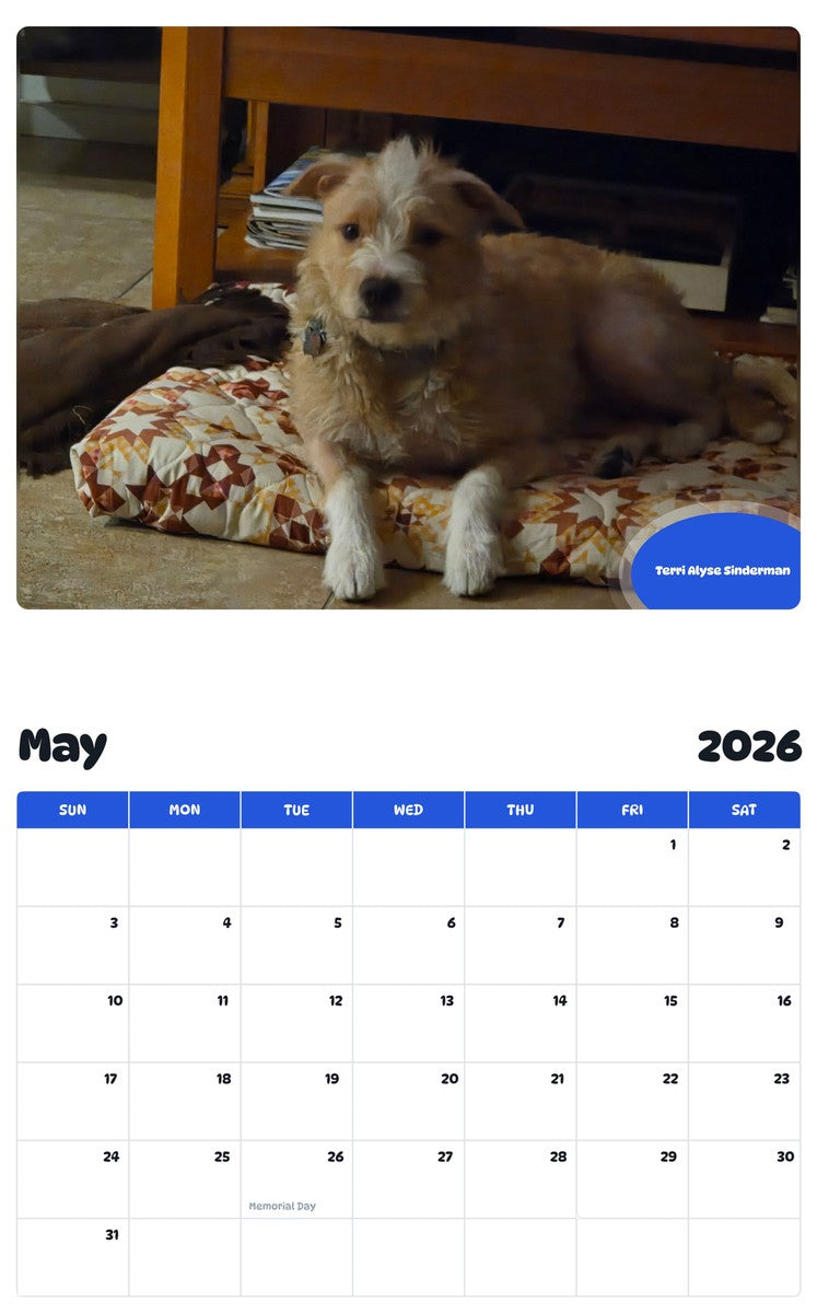 2026 - 2027 Terri Alyse Sinderman - Pawidols Pet Calendar