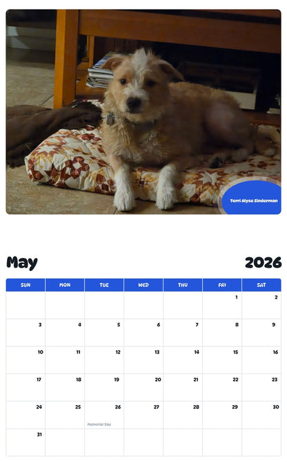 2026 - 2027 Terri Alyse Sinderman - Pawidols Pet Calendar