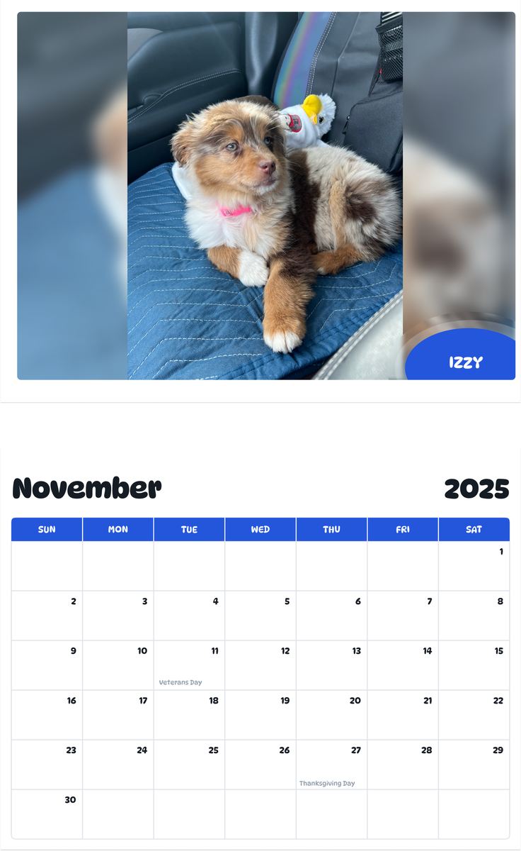 July 2025 - June 2026 Izzy - Pawidols Pet Calendar