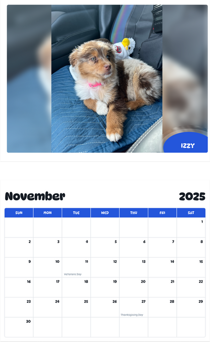 July 2025 - June 2026 Izzy - Pawidols Pet Calendar