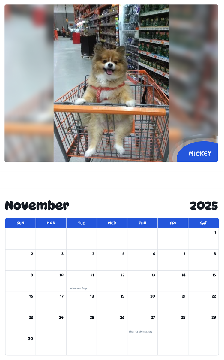 July 2025 - June 2026 Mickey - Pawidols Pet Calendar
