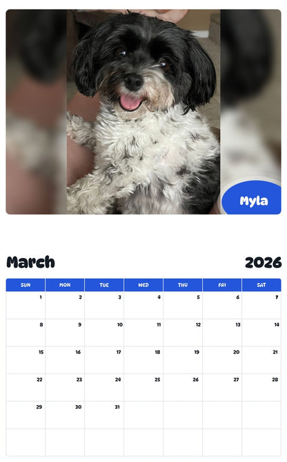 November 2025 - October 2026 Myla - Pawidols Pet Calendar