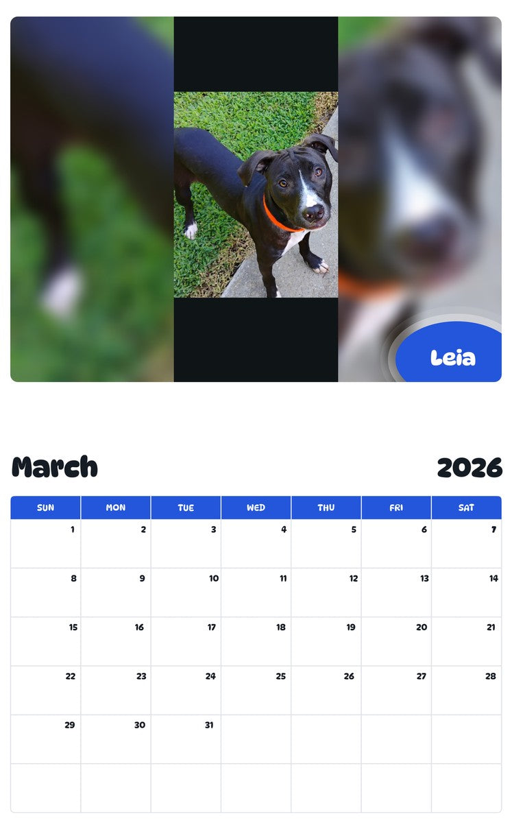November 2025 - October 2026 Leia - Pawidols Pet Calendar