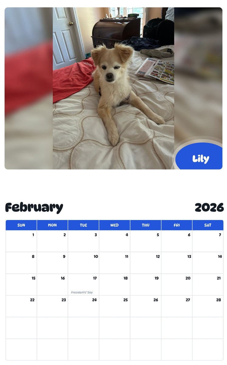 October 2025 - September 2026 Lily - Pawidols Pet Calendar