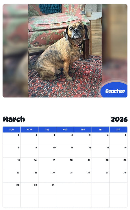 November 2025 - October 2026 Baxter - Pawidols Pet Calendar