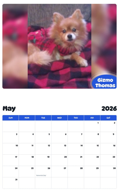 2026 - 2027 Gizmo Thomas - Pawidols Pet Calendar