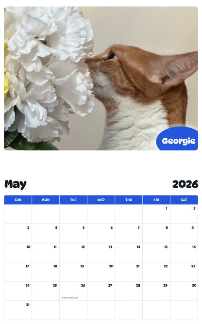 2026 - 2027 Georgie - Pawidols Pet Calendar