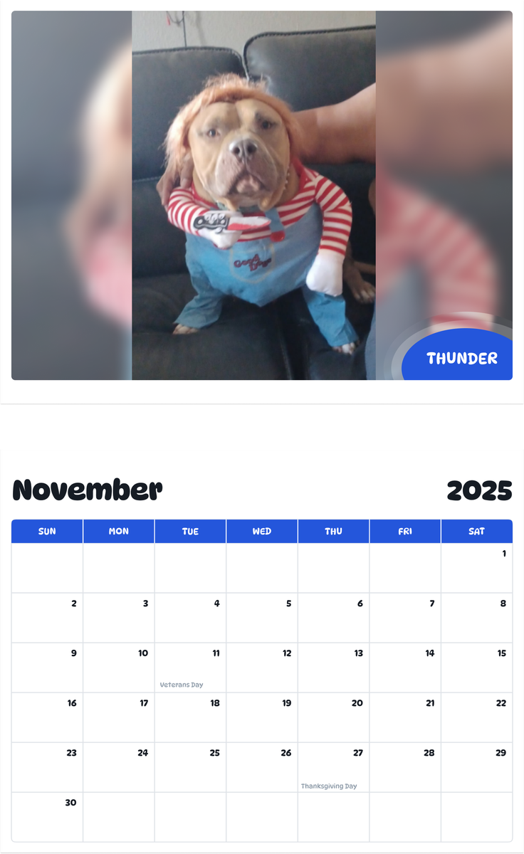 July 2025 - June 2026 Thunder - Pawidols Pet Calendar