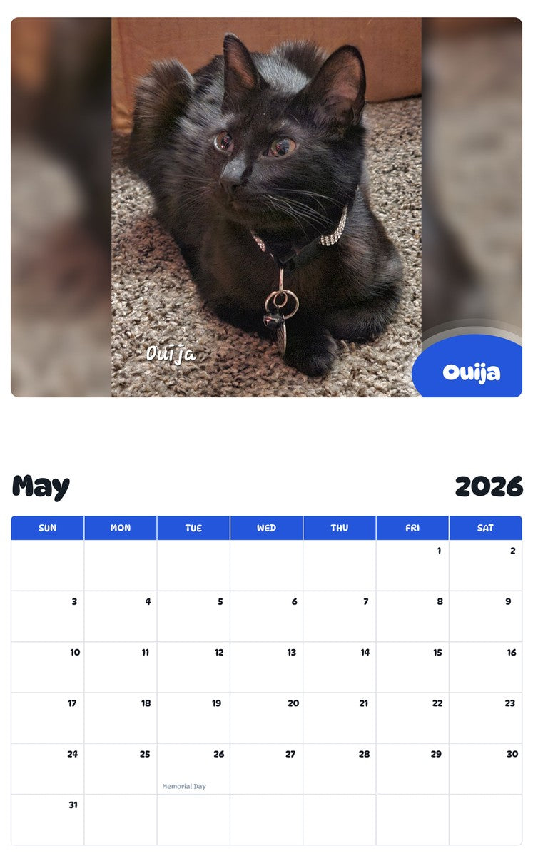 2026 - 2027 Ouija - Pawidols Pet Calendar