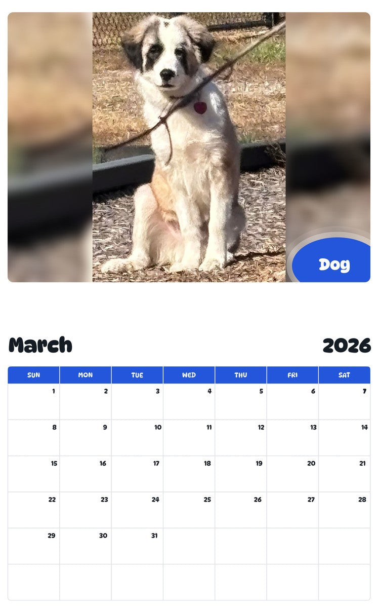 November 2025 - October 2026 Dog - Pawidols Pet Calendar