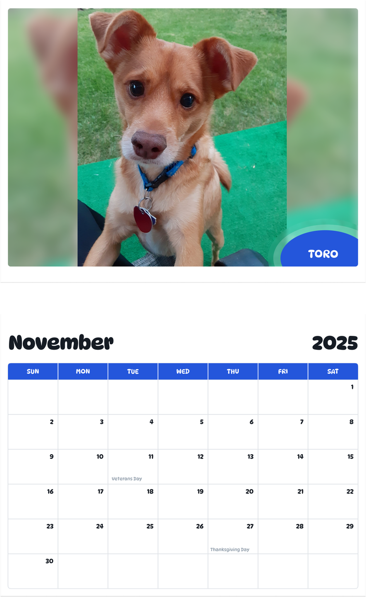 July 2025 - June 2026 Toro - Pawidols Pet Calendar