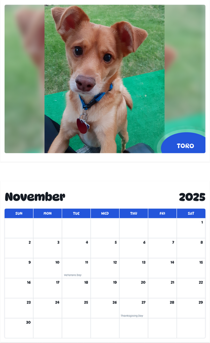 July 2025 - June 2026 Toro - Pawidols Pet Calendar