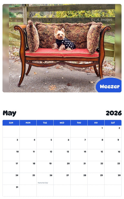 2026 - 2027 Weezer - Pawidols Pet Calendar