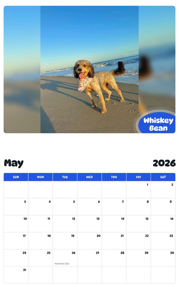 2026 - 2027 Whiskey Bean - Pawidols Pet Calendar