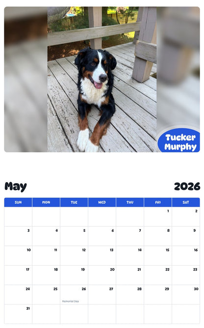 2026 - 2027 Tucker Murphy - Pawidols Pet Calendar