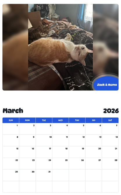 November 2025 - October 2026 Jack & Nemo - Pawidols Pet Calendar