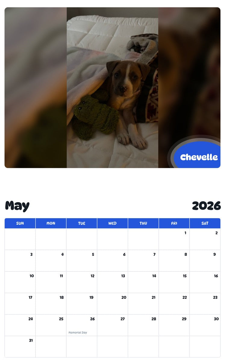 2026 - 2027 Chevelle - Pawidols Pet Calendar