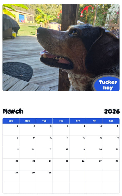 November 2025 - October 2026 Tucker boy - Pawidols Pet Calendar