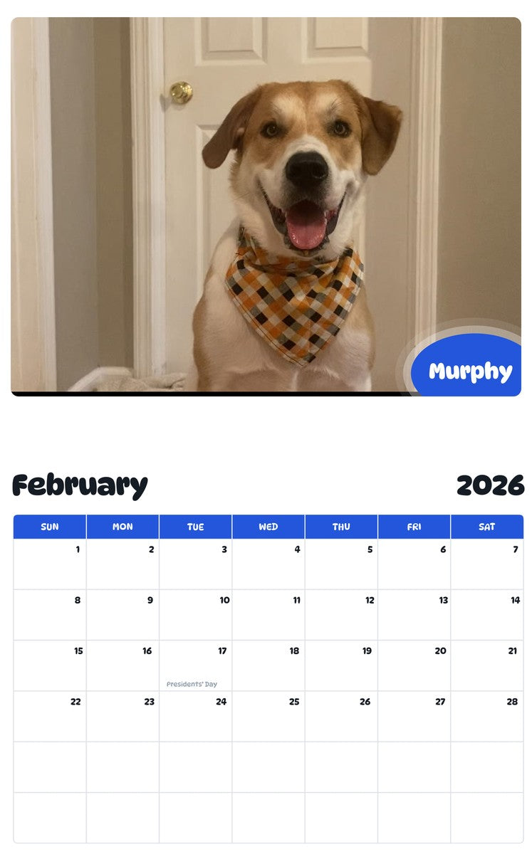 November 2025 - October 2026 Murphy - Pawidols Pet Calendar