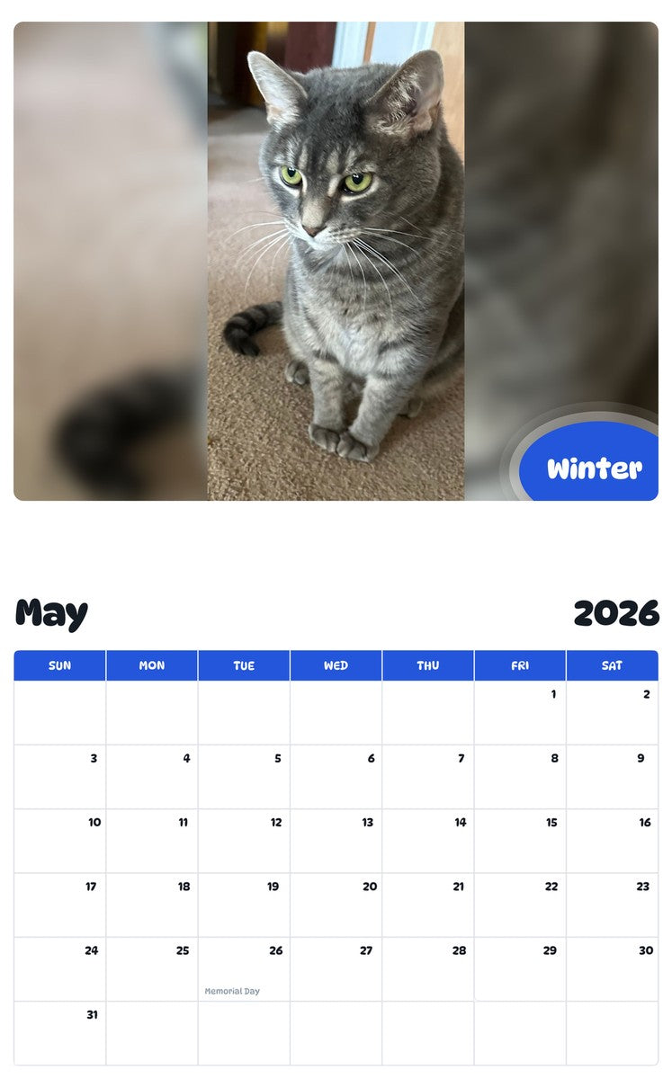 2026 - 2027 Winter - Pawidols Pet Calendar
