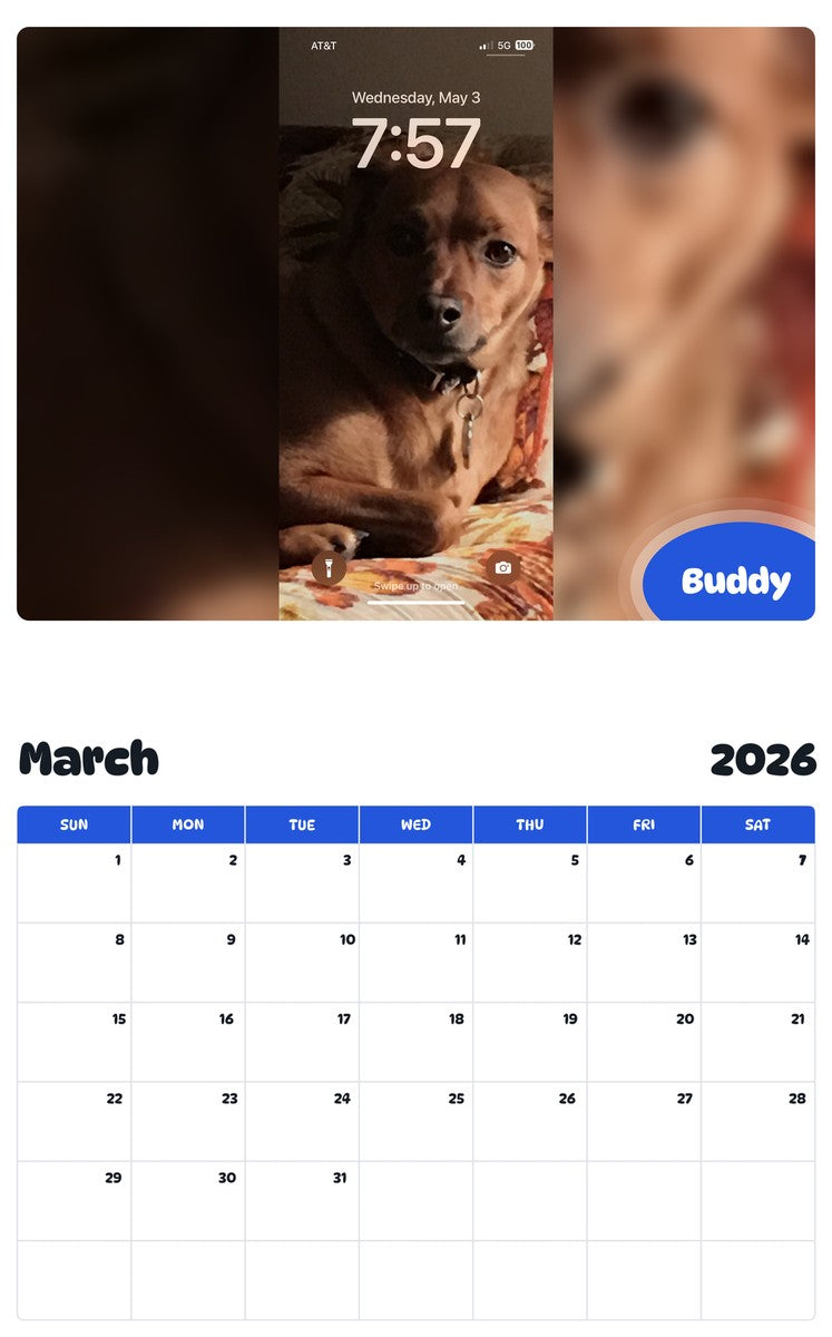 November 2025 - October 2026 Buddy - Pawidols Pet Calendar