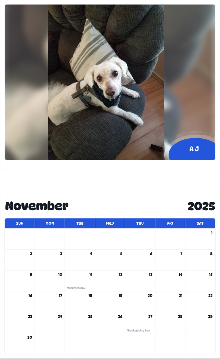 July 2025 - June 2026 A J - Pawidols Pet Calendar