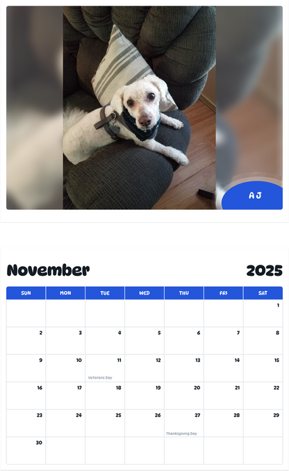July 2025 - June 2026 A J - Pawidols Pet Calendar