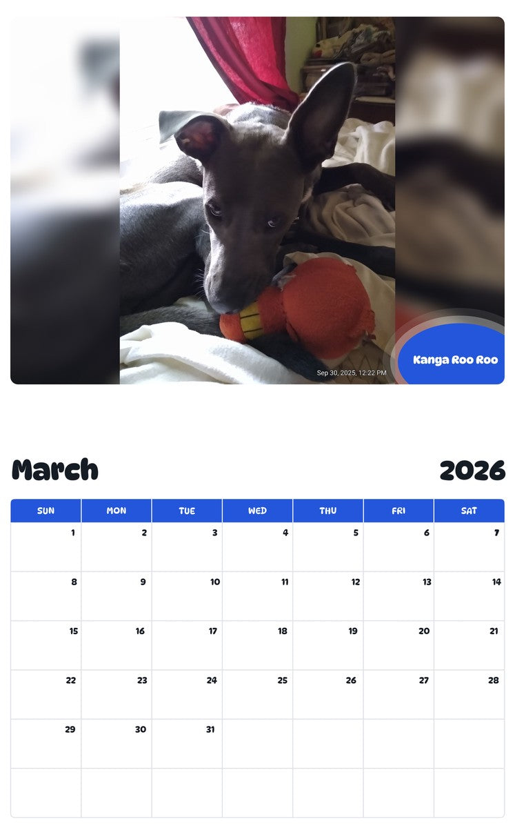 November 2025 - October 2026 Kanga Roo Roo - Pawidols Pet Calendar