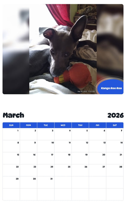 November 2025 - October 2026 Kanga Roo Roo - Pawidols Pet Calendar