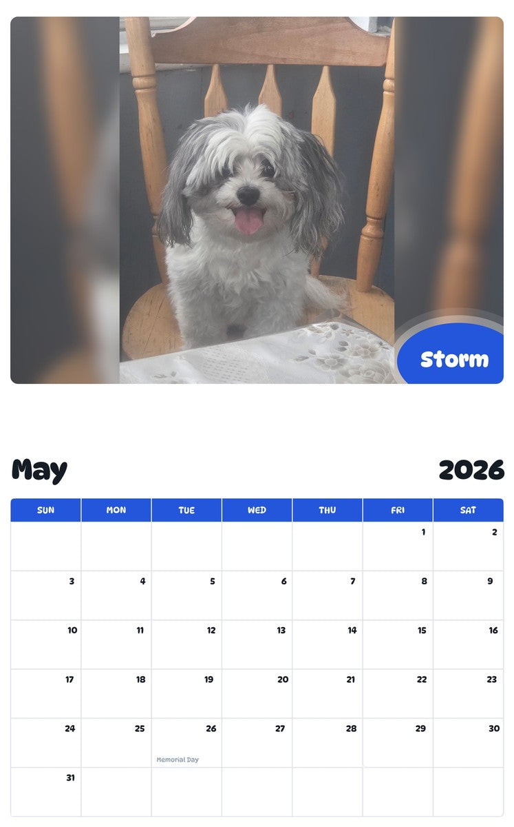 2026 - 2027 Storm - Pawidols Pet Calendar
