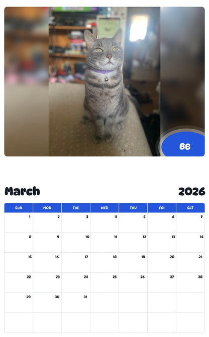 November 2025 - October 2026 BB - Pawidols Pet Calendar