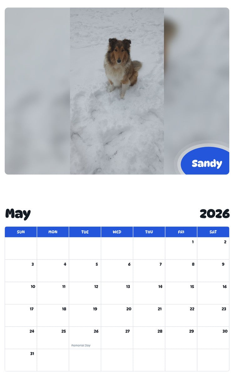 2026 - 2027 Sandy - Pawidols Pet Calendar