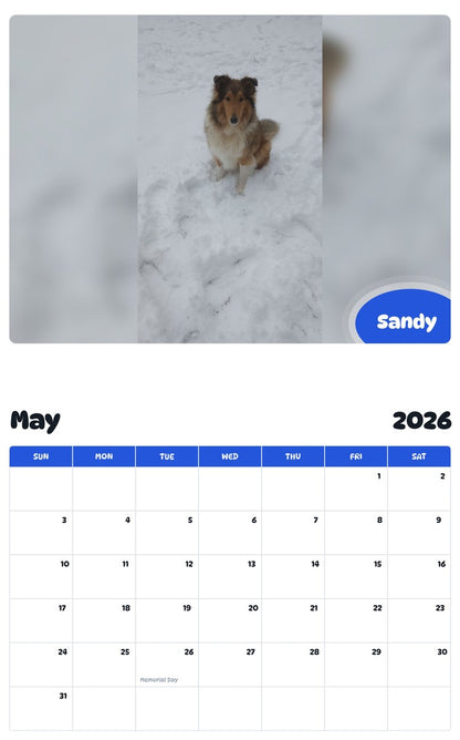 2026 - 2027 Sandy - Pawidols Pet Calendar