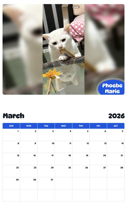 November 2025 - October 2026 Phoebe Marie - Pawidols Pet Calendar