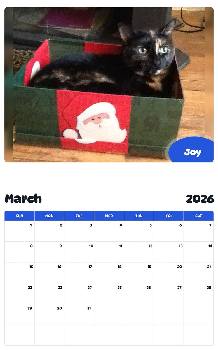 November 2025 - October 2026 Joy - Pawidols Pet Calendar