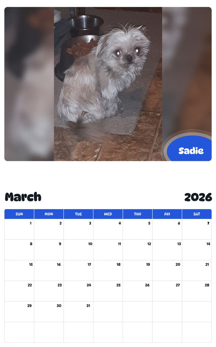 November 2025 - October 2026 Sadie - Pawidols Pet Calendar