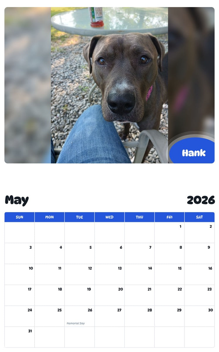 2026 - 2027 Hank - Pawidols Pet Calendar