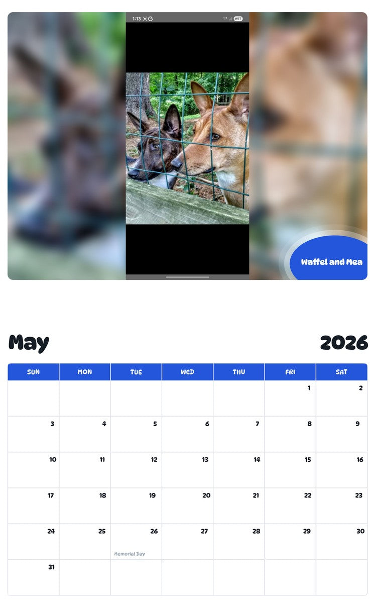 2026 - 2027 Waffel and Mea - Pawidols Pet Calendar