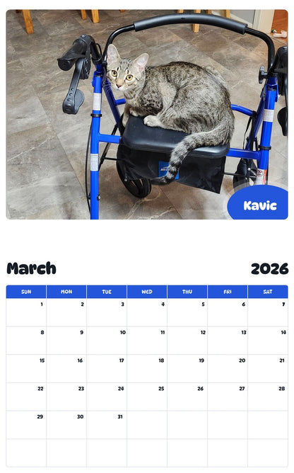 November 2025 - October 2026 Kavic - Pawidols Pet Calendar