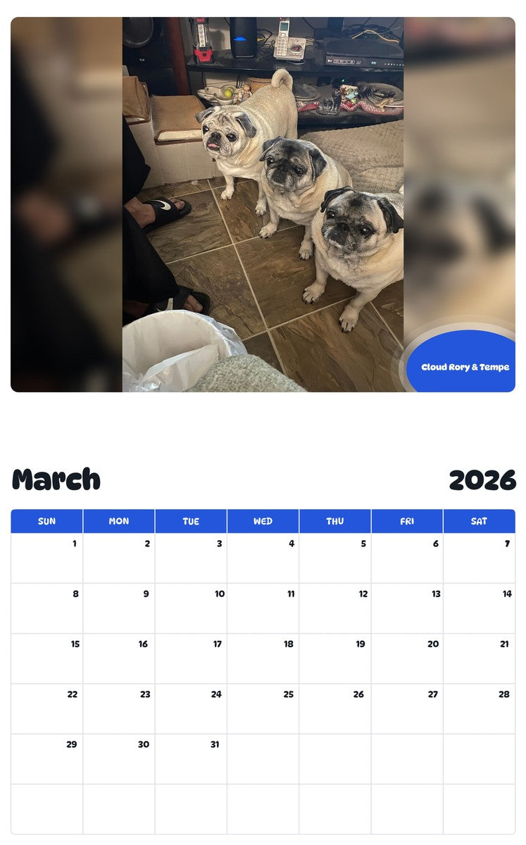 November 2025 - October 2026 Cloud Rory & Tempe - Pawidols Pet Calendar