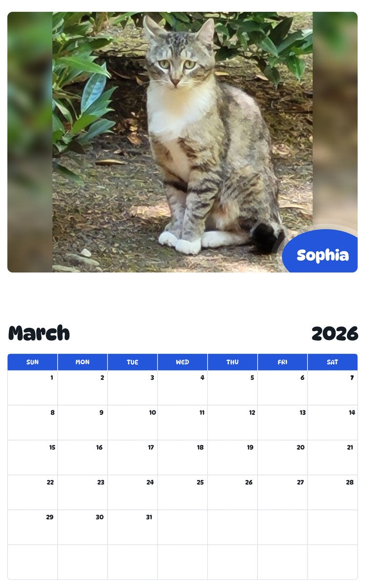 November 2025 - October 2026 Sophia - Pawidols Pet Calendar