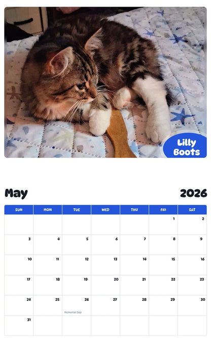 2026 - 2027 Lilly Boots - Pawidols Pet Calendar