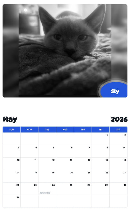 2026 - 2027 Sly - Pawidols Pet Calendar