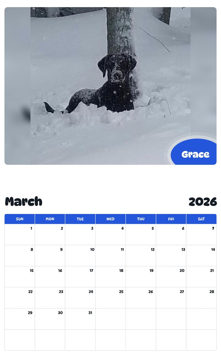 November 2025 - October 2026 Grace - Pawidols Pet Calendar