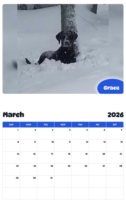 November 2025 - October 2026 Grace - Pawidols Pet Calendar