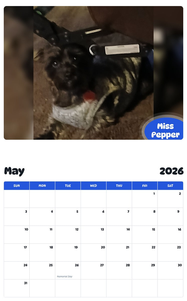 2026 - 2027 Miss Pepper - Pawidols Pet Calendar
