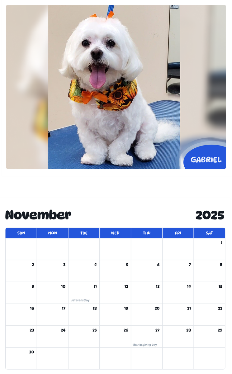 July 2025 - June 2026 Gabriel - Pawidols Pet Calendar