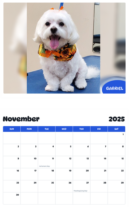 July 2025 - June 2026 Gabriel - Pawidols Pet Calendar