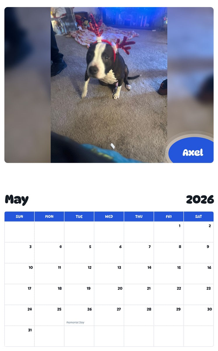 2026 - 2027 Axel - Pawidols Pet Calendar